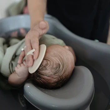 Mushie Cradle Cap Brush (2P)